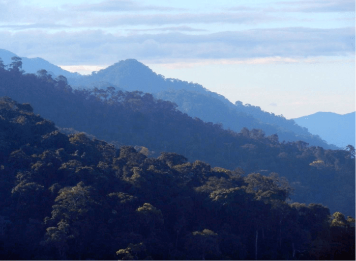 View from the Piñi piñi range, Manu, Peru - Photo by J. Villacampa, The Crees Foundation.