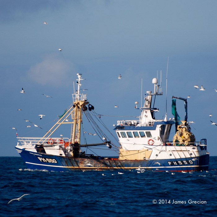 Devon trawler