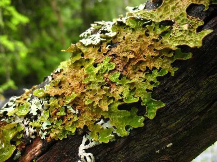 3836101271_187eae233d_o