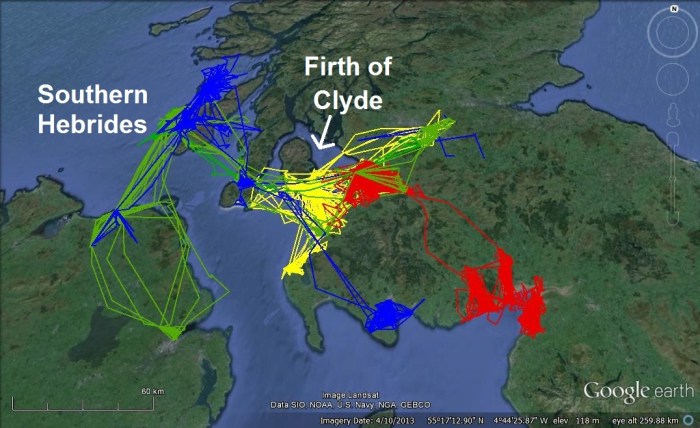 AllColoniesWinterNS (1)