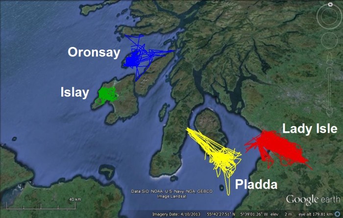 BreedingSeason4coloniesN