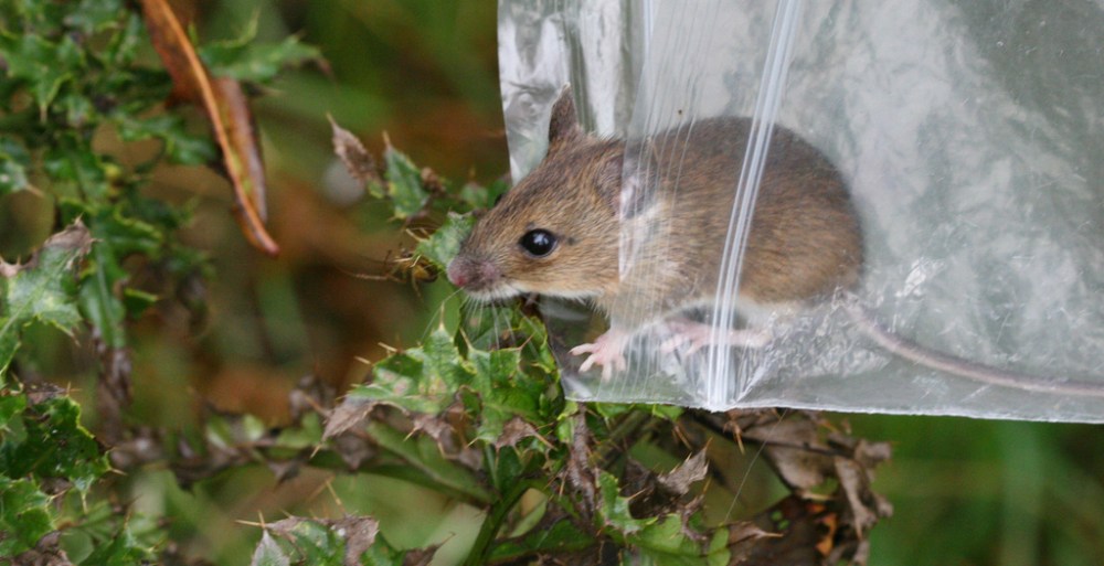 5894764501_9abce479e7_b