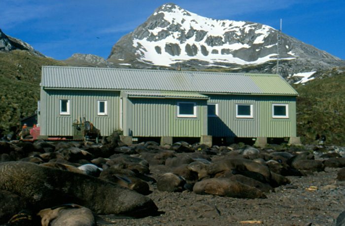A little close for comfort: The British Antarctic Survey field station on Bird Island, South Georgia surrounded by Antarctic fur seals on the beach.